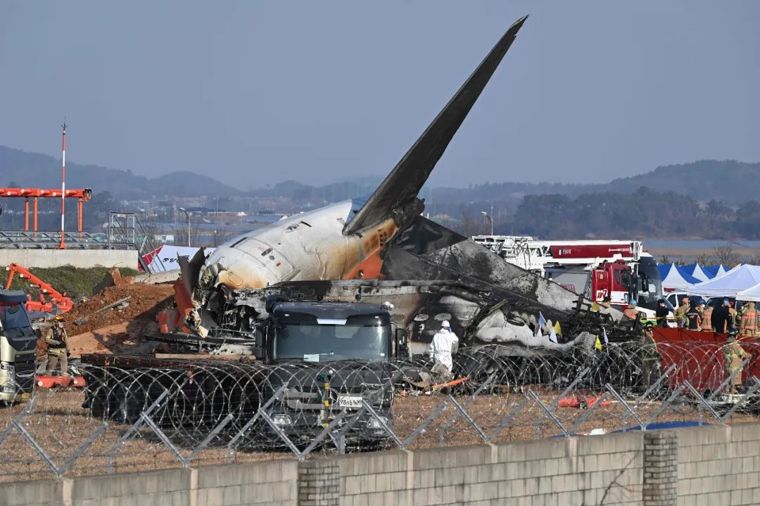 179人遇难 仅2人生还 韩国客机碰撞起火事故速览