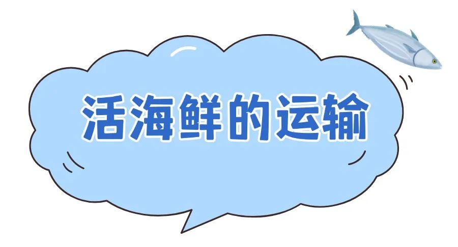 山某超市：为什么我们不卖活海鲜？评论区炸锅了