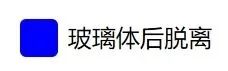 2025年1月21日弄明白玻璃体相关的疾病，玻璃膜疣是玻璃体相关疾病吗？插图(3)