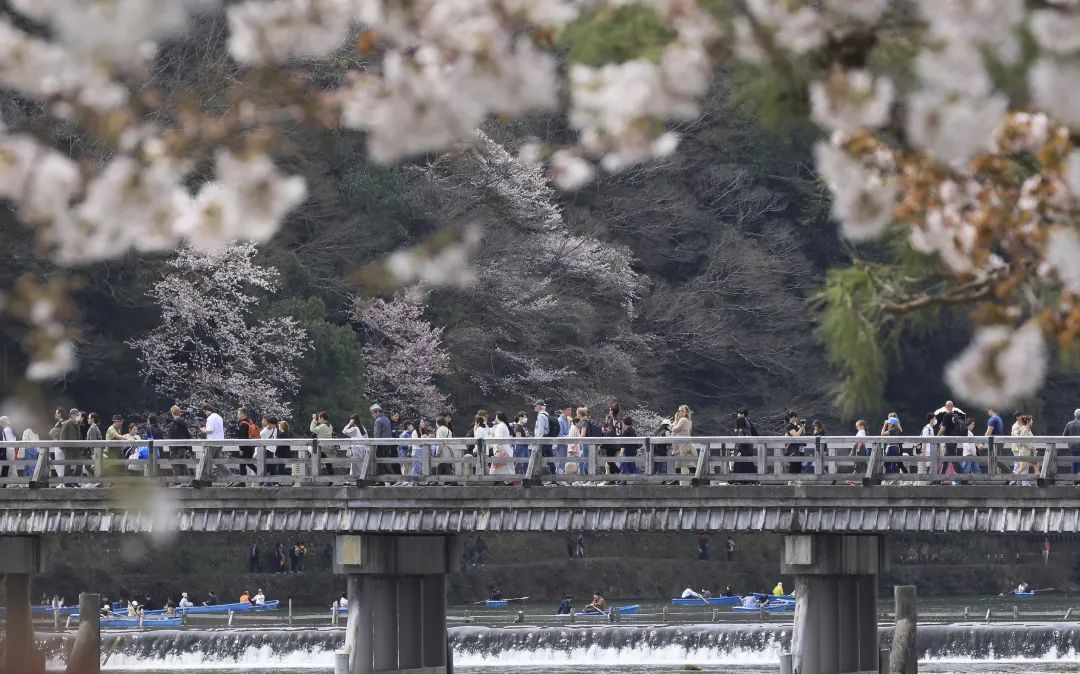 日本，怎么就成了江浙沪打工人的后花园？