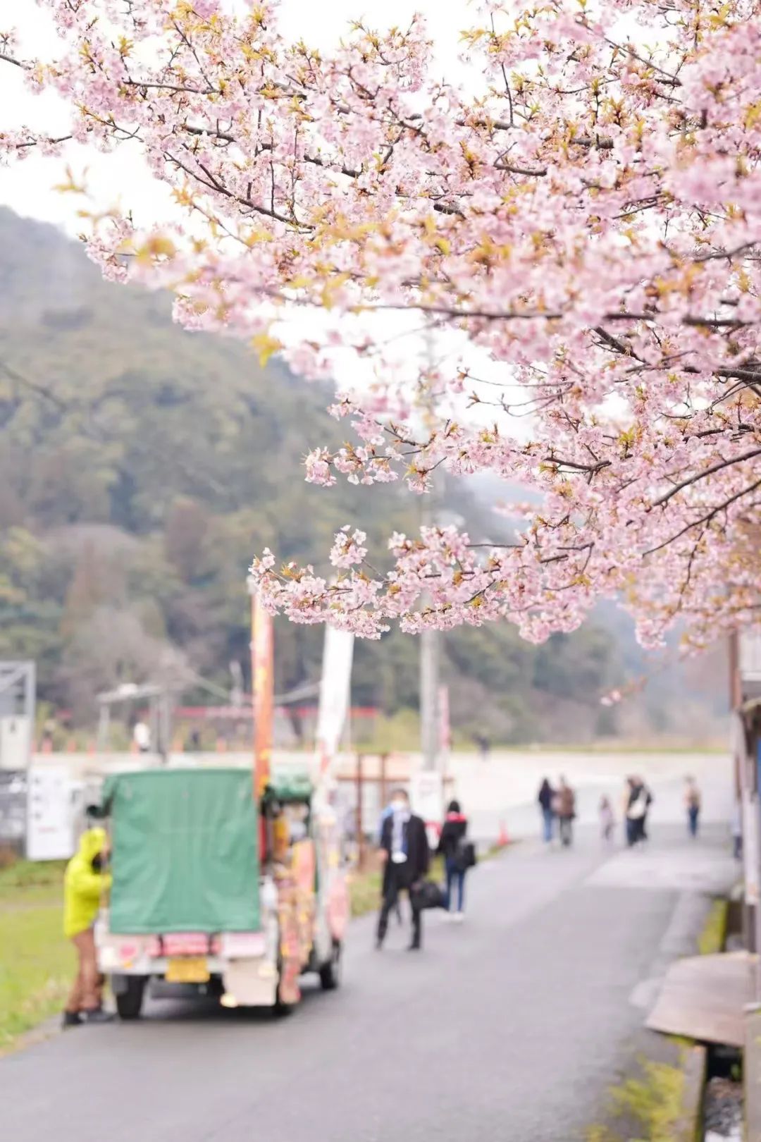 日本，怎么就成了江浙沪打工人的后花园？